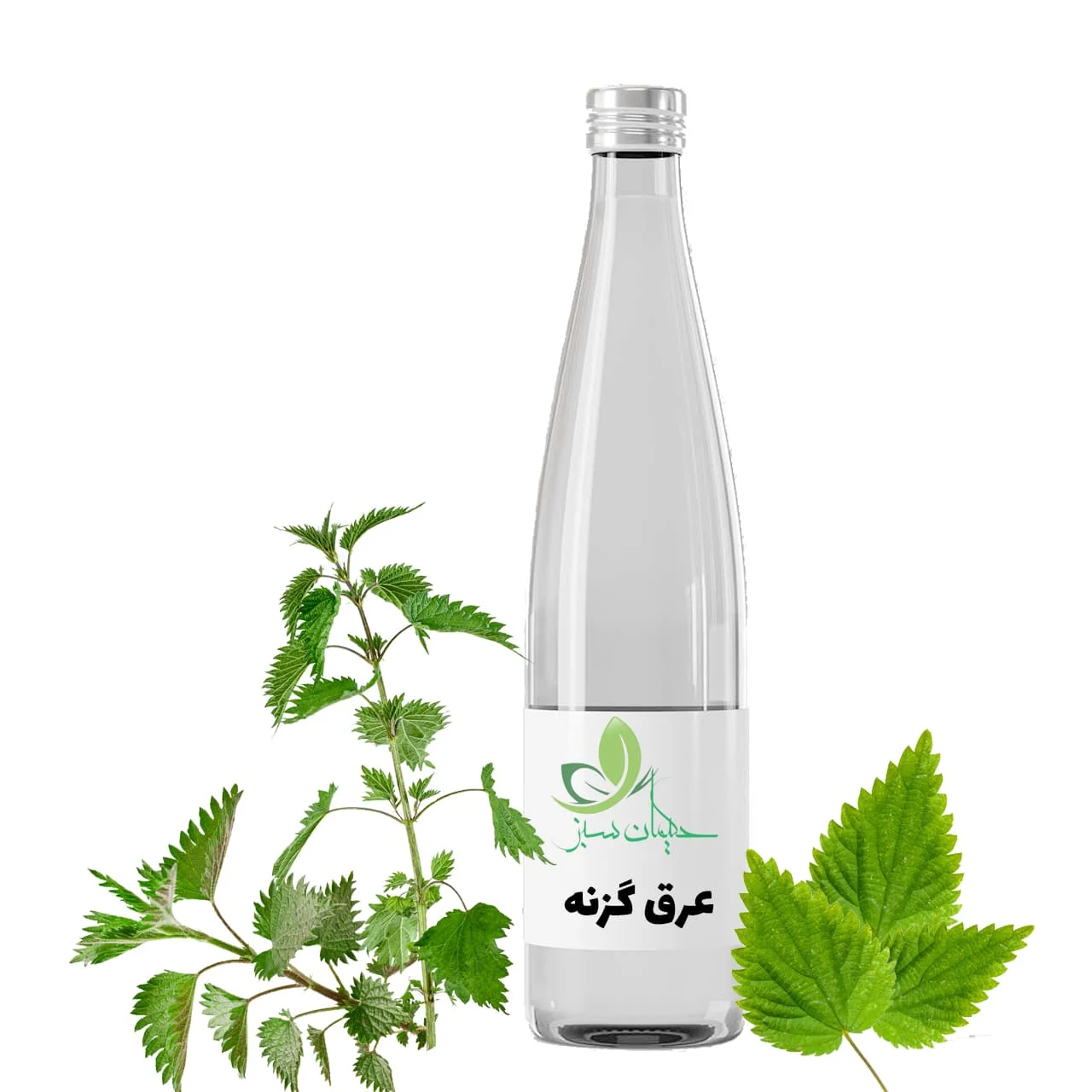 aragh-gazneh.jpg عرق گزنه - تصویر 1